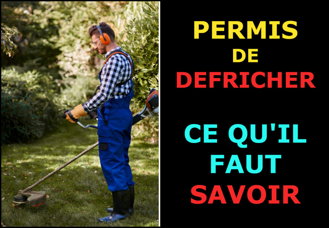 autorisation de defrichement