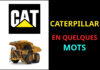 caterpillar