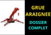grue araignee