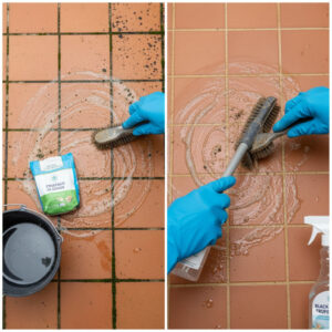 comment nettoyer les joints de carrelage